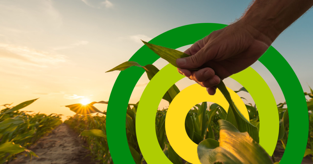 Herbicidas agrícolas